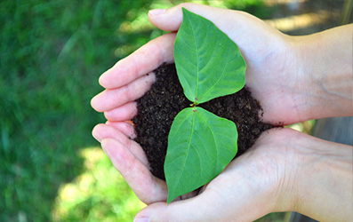 中国·8846威尼斯(股份)有限公司-官方网站